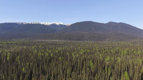 drone footage of deforestation in the canadian forest. river running next to the mountains in a village of indiginous tribes