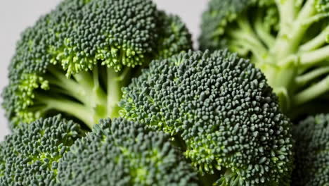 close-up of fresh broccoli