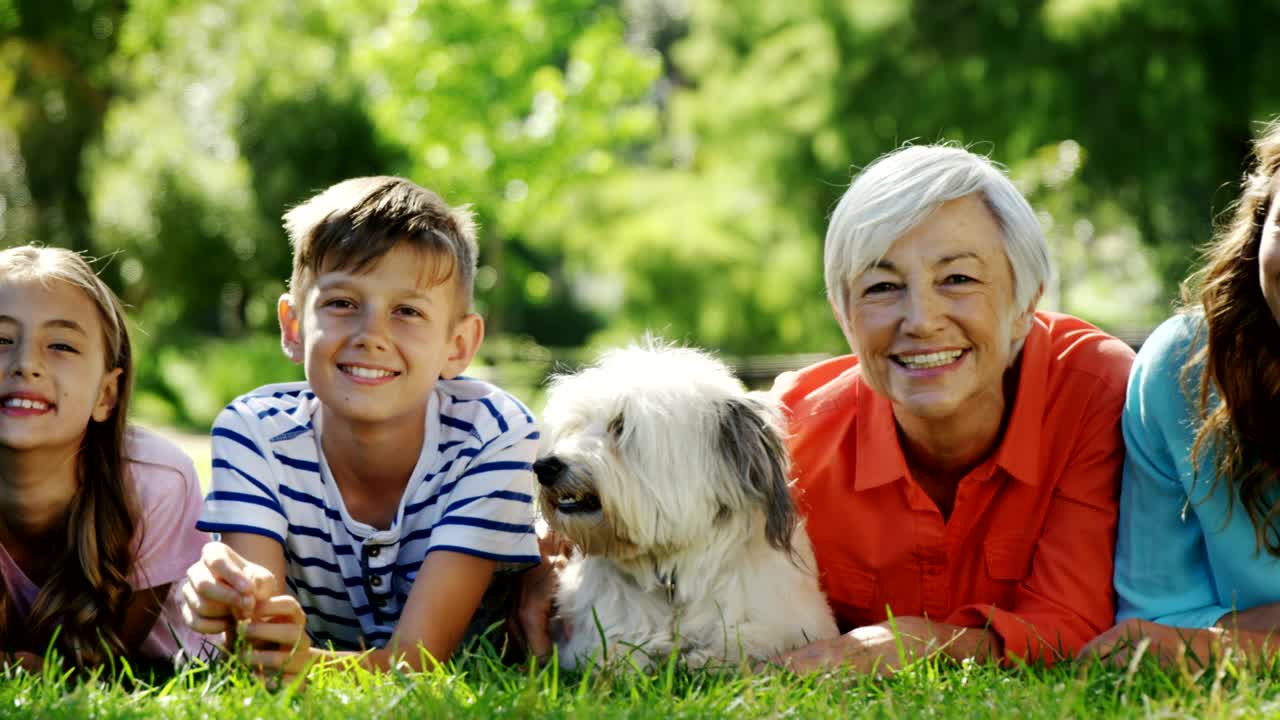 여러 세대의 가족들이 공원에서 개와 함께 휴식을 취하고 있습니다.