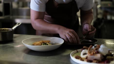 Chef-O-Cocinero-Emplatando-Comida-En-La-Cocina