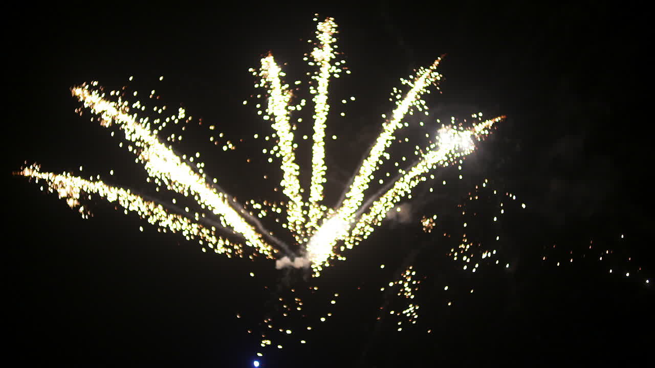 Fuochi d'artificio all'inizio del nuovo anno nella notte buia 6
