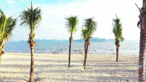 Der-Sommer-Ist-Dazu-Da,-Am-Strand-Genossen-Zu-Werden