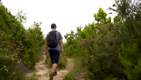 Hiker-walking-between-lush-vegetation-on-narrow-footpath-of-mountain,-following-shot