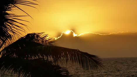 golden sunset over the ocean with palm trees