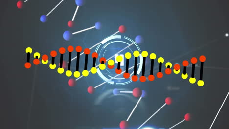 animación de procesamiento de datos y escaneo de alcance sobre cadenas de adn en fondo negro