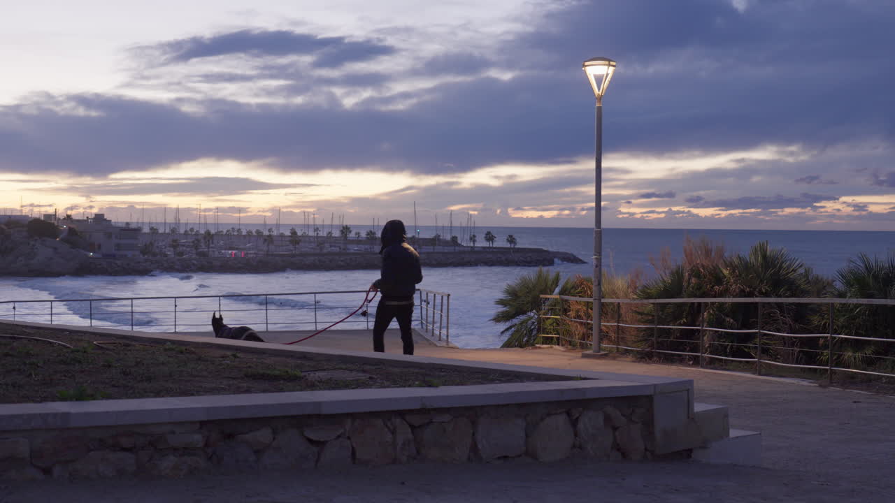el hombre pasea a su perro durante el atardecer cerca del mar