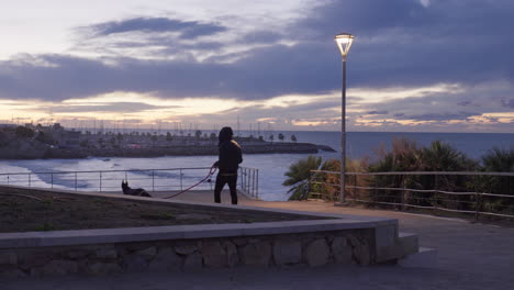 Man-walks-his-dog-during-dusk-near-the-sea-side