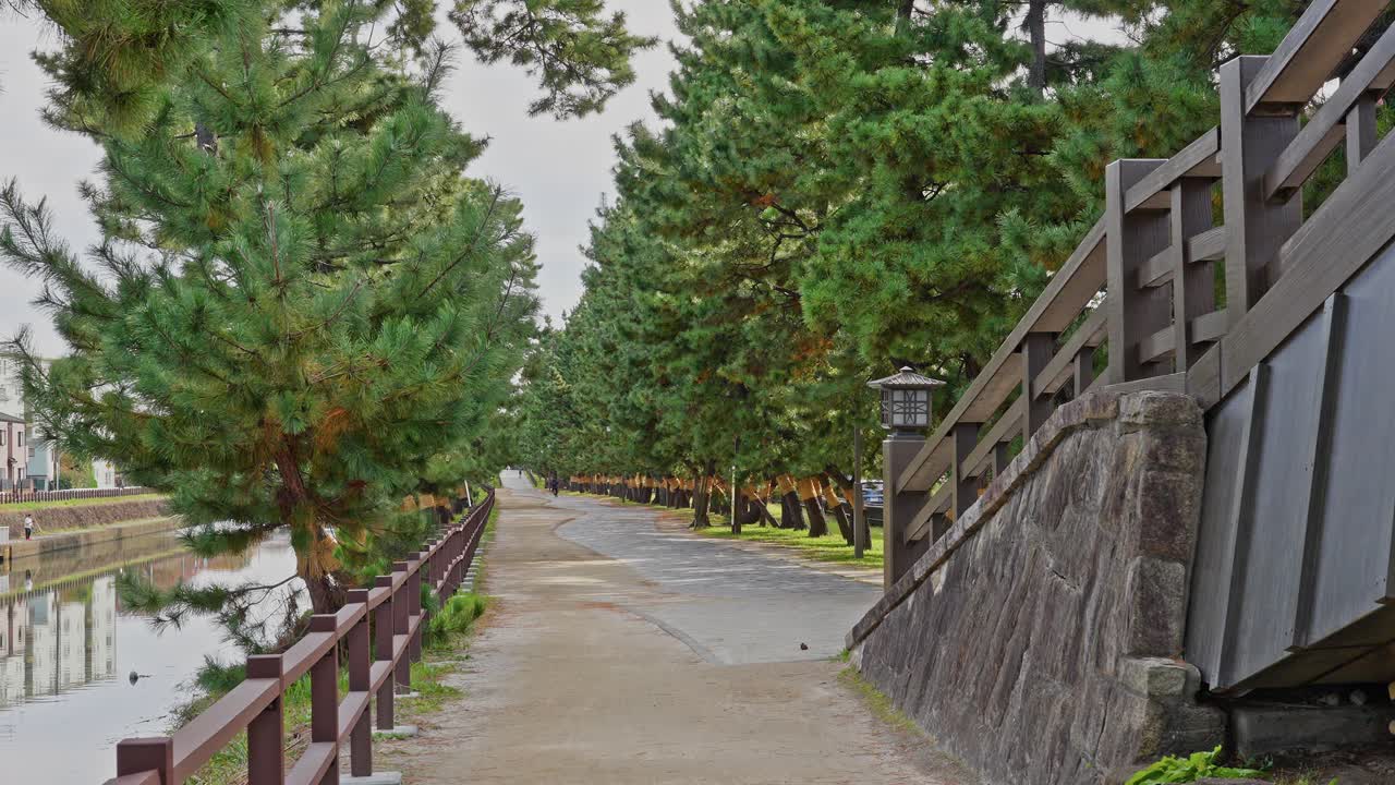 Jalan setapak batu yang tenang berbaris dengan pohon pinus Sōka Matsubara di samping kanal Jepang yang tenang