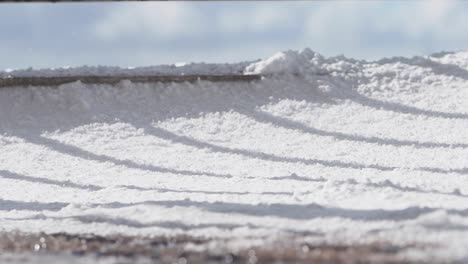 salt harvesting