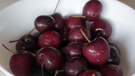 zoom in shot of shiny dark red cherries with water drops in a clean white bowl