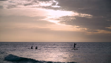 Silhouette-of-Tree-People-Stand-up-Paddleboarding-in-Open-Sea-at-sunset-on-their-SUPs-near-Tanjung-Aru-beach,-Kota-Kinabalu,-Malaysia