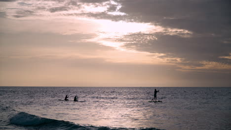 silhouette of tree people stand up paddleboarding in open sea at sunset on their sups near tanjung aru beach, kota kinabalu, malaysia