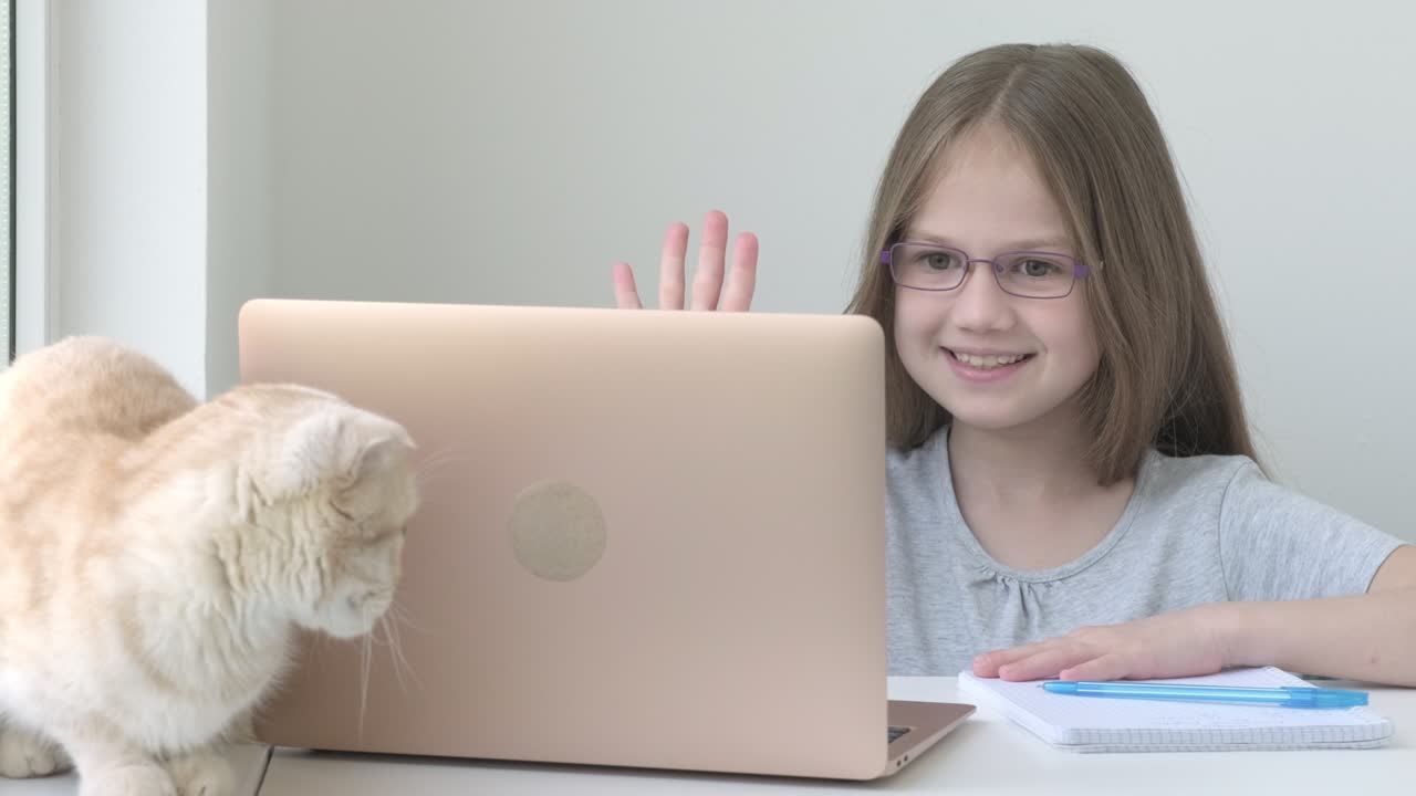 School girl in glasses studying online using laptop at home. Cat sitting next to child