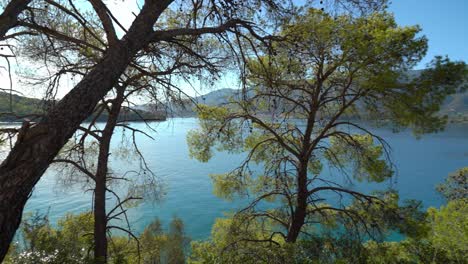 panoramic view of love's bay beach in poros island greece