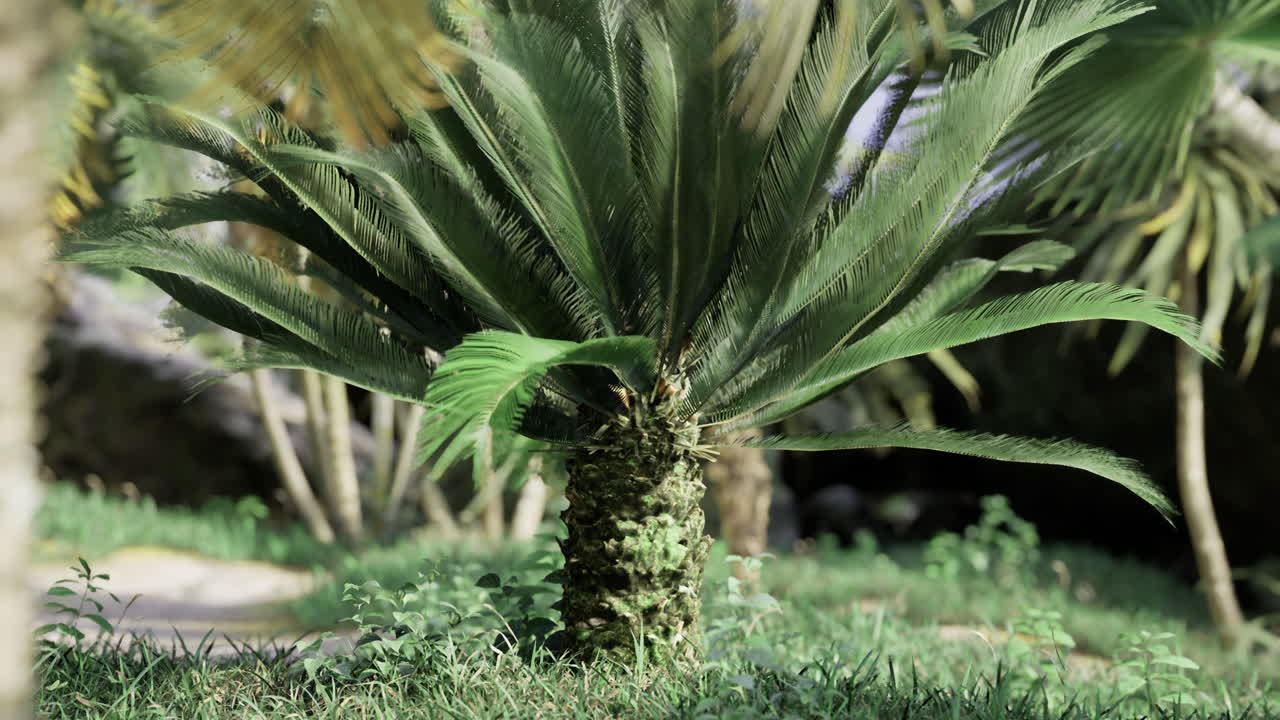Lush green palm trees thriving in a tropical landscape during daytime