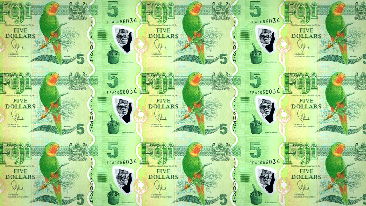 5 피지 달러 지폐 (fijian dollars) - 롤링, 현금, 루프