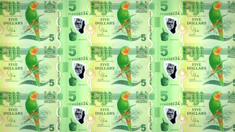 billetes de cinco dólares de fiji rodando, dinero en efectivo, bucle