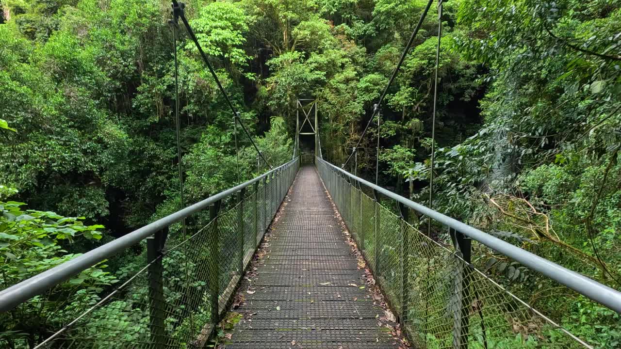 Jungle Suspension Bridge