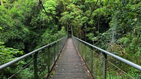jungle suspension bridge