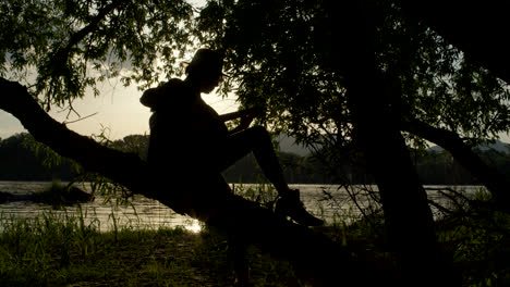 silhouette of a person in a tree by a river at sunset