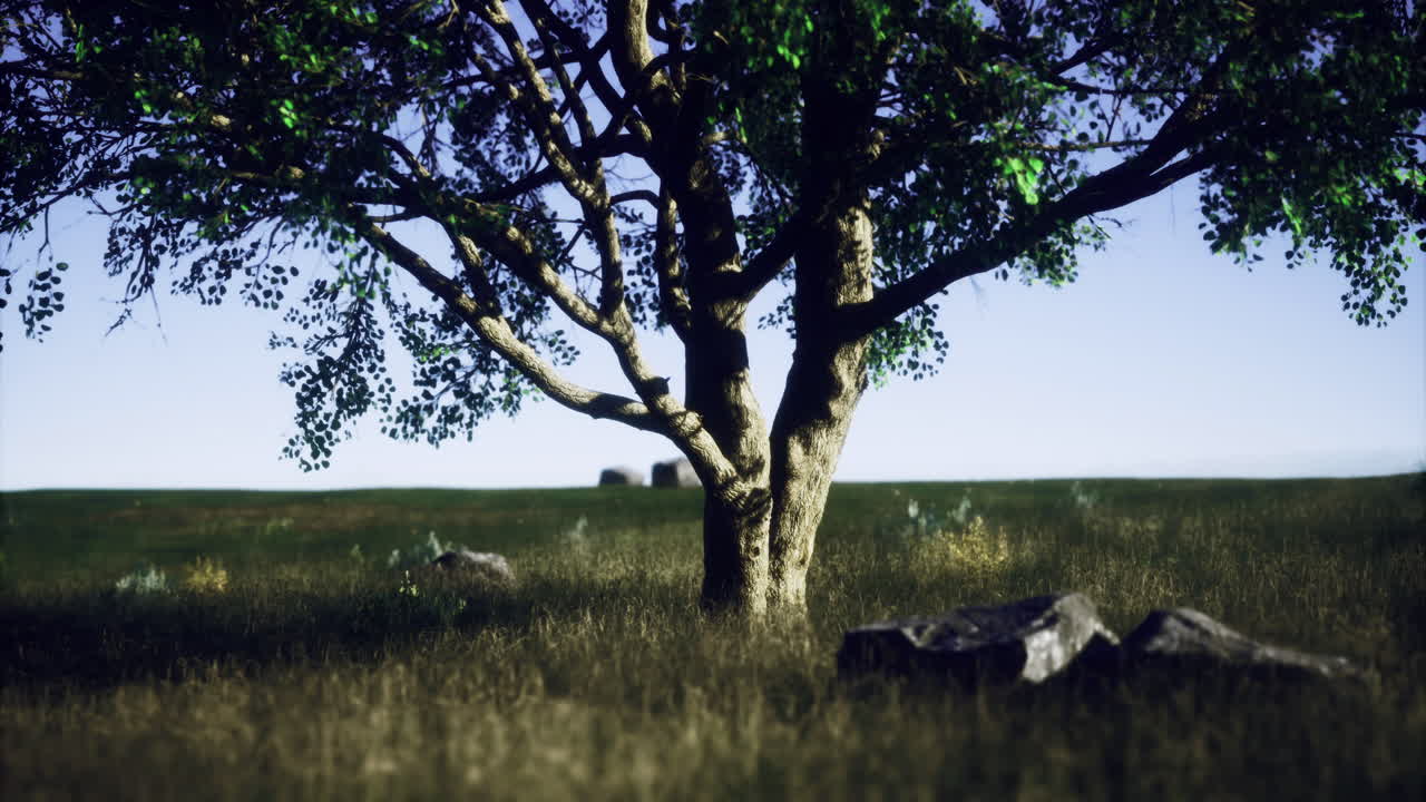 Verdant landscape with a lone tree under a clear blue sky during daytime