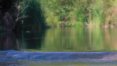 Focus shift between foreground and background at water stream near Marbella, Spain