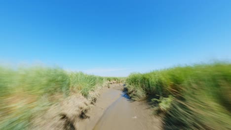 在晴朗的藍色夏天天空下,在受保護的湿地區域追蹤一條泥<unk>的溝中,低空飛行的fpv無人機拍攝