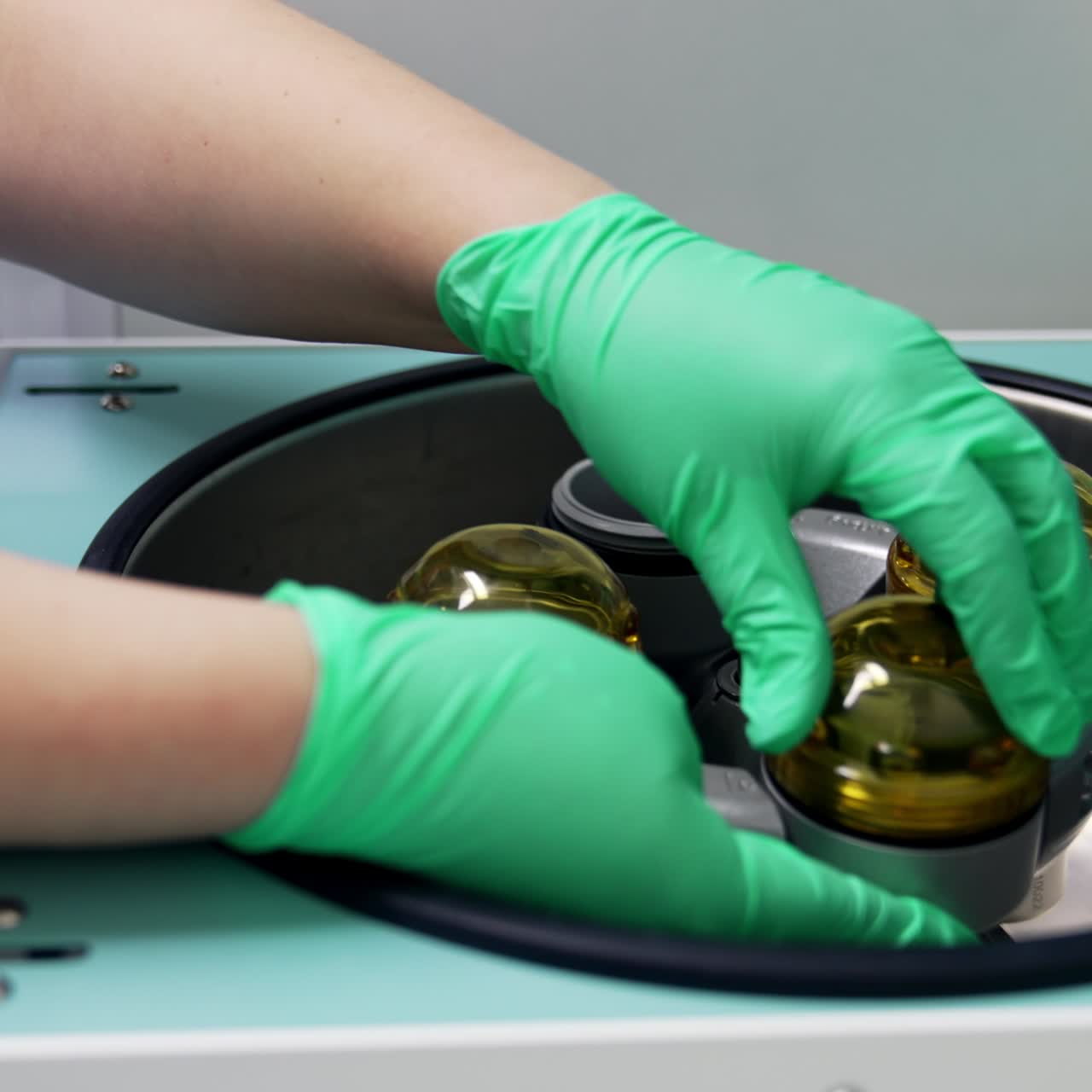 Hands in green latex gloves put the test tube with blood into reservoir. Equipment for plasma preparation close up
