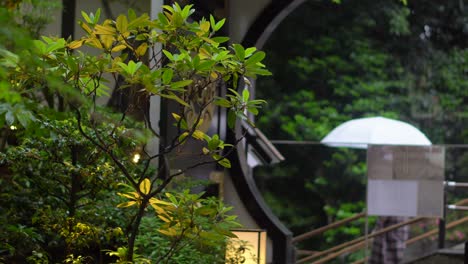 the kichijoji neighborhood in tokyo, japan is very busy and the rain that falls in the summer gives it an intimate and special atmosphere