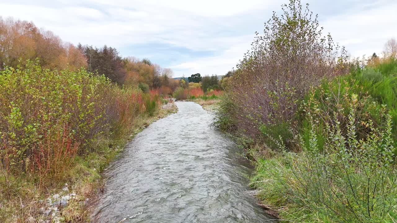 A tranquil river meanders through vibrant autumn foliage under soft, diffused daylight at Lake Tekapo, New Zealand