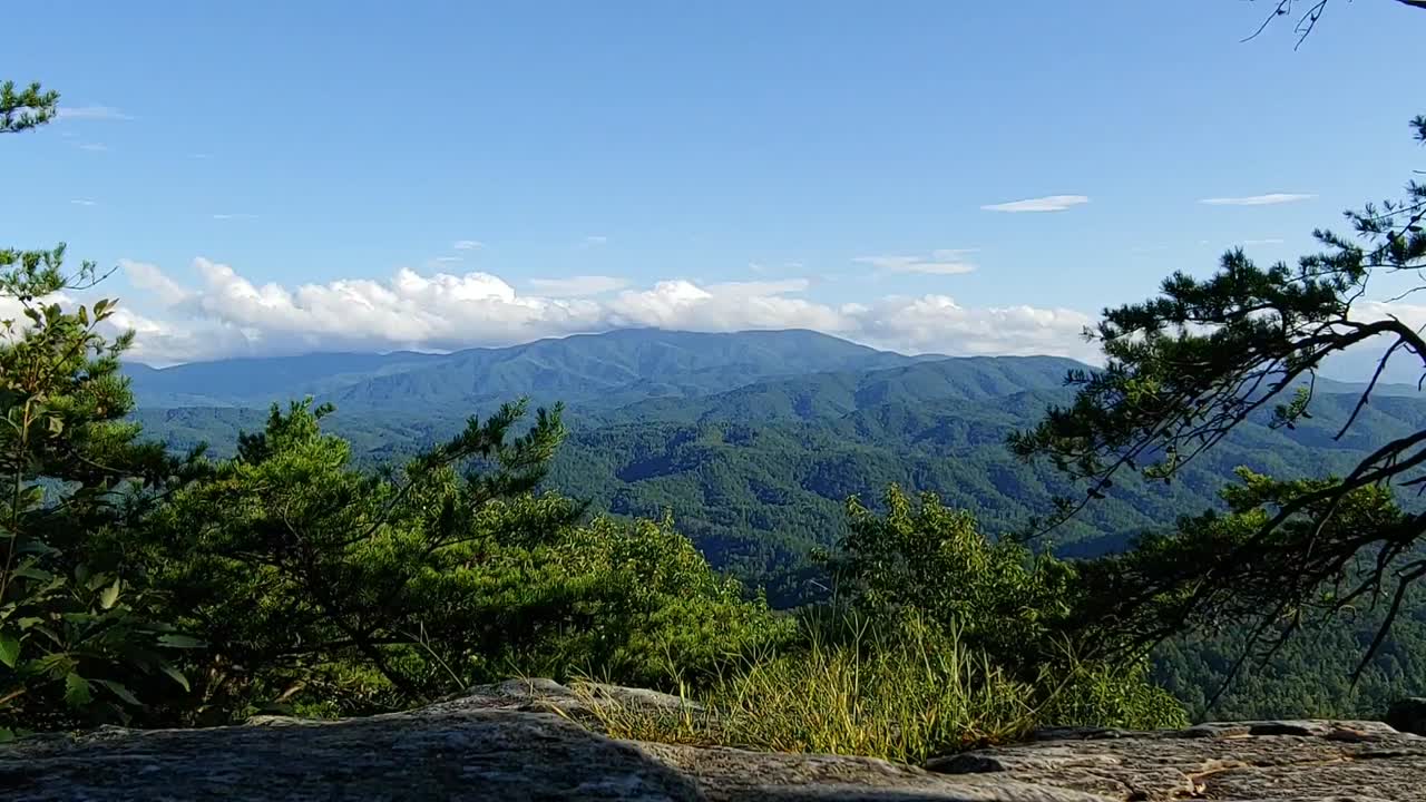 연기가 자욱한 산에 위치한 산기슭 공원 도로의 바위 절벽에서 촬영된 바람이 불고 있는 그레이트 스모키 산맥 국립공원의 전망