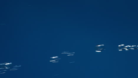 vertical de agua pura real que fluye hacia abajo con salpicaduras sobre fondo azul disparando en cámara lenta
