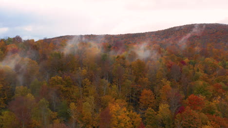 Impresionante-Toma-De-Drones-Mirando-Por-Encima-De-Los-árboles-Del-Bosque-Cambiando-De-Color-En-El-Otoño