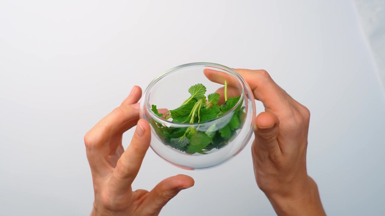 Hands holding glass bowl filled with fresh melissa leaves. Top angle of female hands holding transparent container with green herbs on white background.