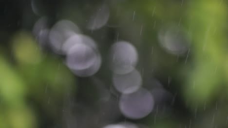 Blur-background-or-bokeh-with-heavy-raindrops-foreground