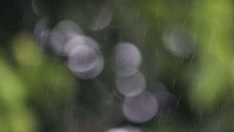 blur background or bokeh with heavy raindrops foreground