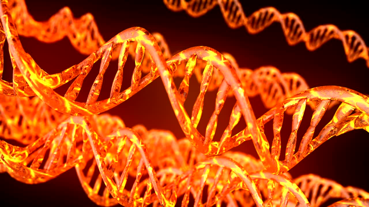 código de adn. abstracto 3d marco de alambre poligonal dna molécula hélice en espiral. animación en bucle.