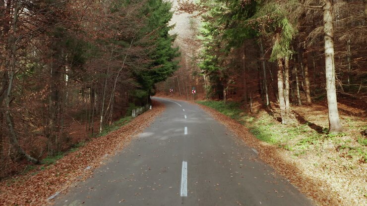 Strada asfaltata vuota attraverso la foresta mista autunnale - movimento aereo in avanti.