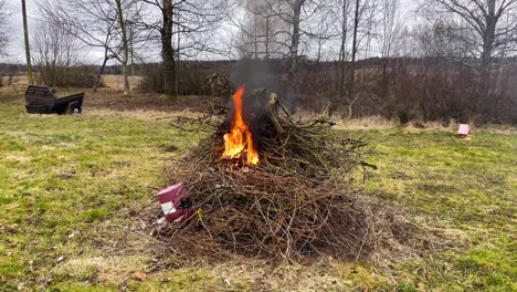 pequeño fuego quemando basura de la casa, rama de árbol viejo, rama de planta de escalador con humo