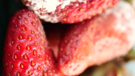 fresas con moho