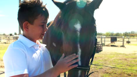 niño acariciando el caballo en el rancho en un día soleado 4k