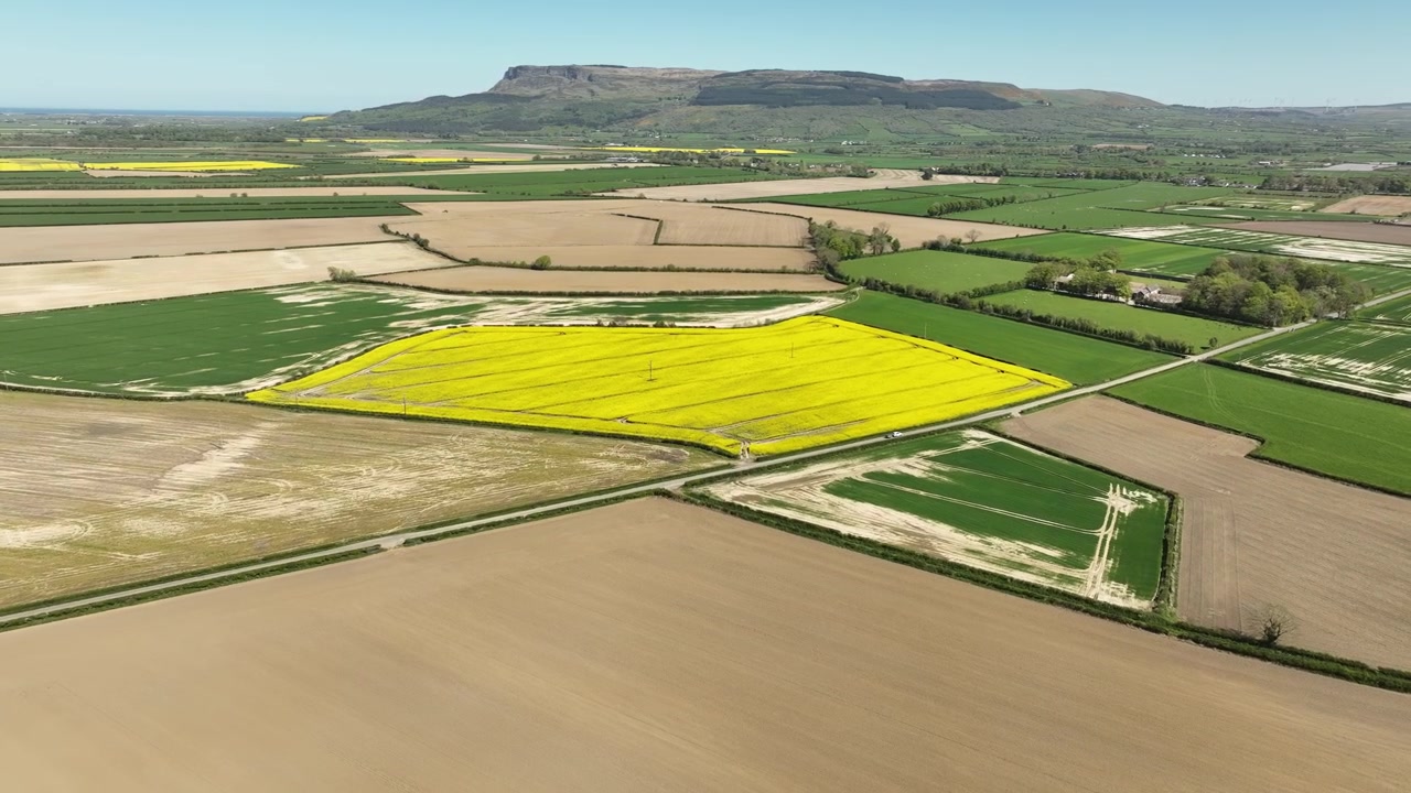 Binevenagh Mountain and Rapeseed Fields near Lough Foyle Northern Ireland