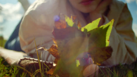 child exploring autumn leaves