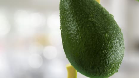 avocado with slices falling on kitchen background