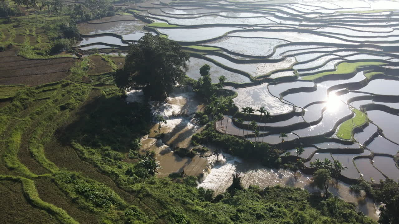 aguas brillantes en los campos de terrazas de arroz con riego en verano en tema tana sumba regency, indonesia