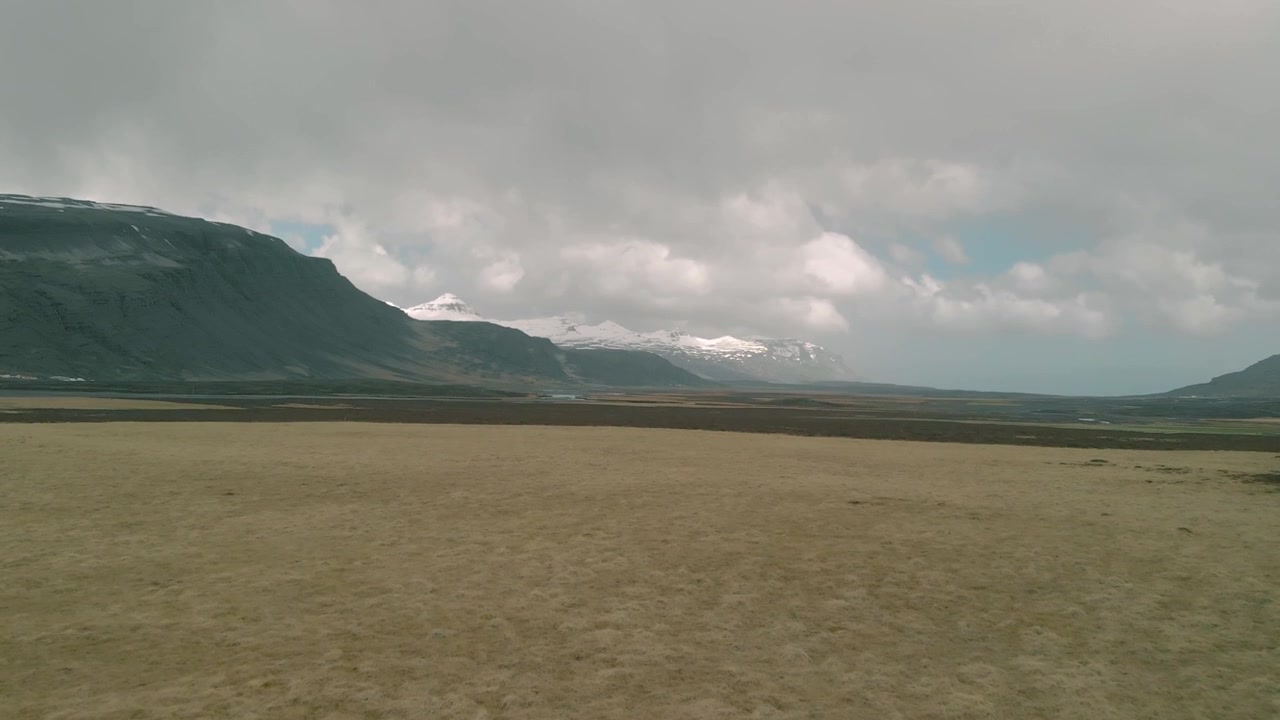 Aerial View of Expansive Grassland and Snow-Capped Mountains