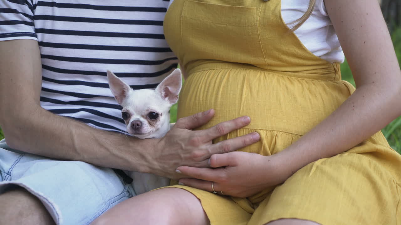 Pregnant Woman with Husband and Dog