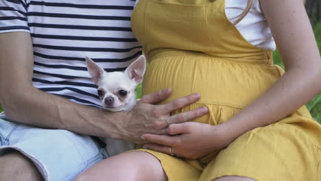 pregnant woman with husband and dog