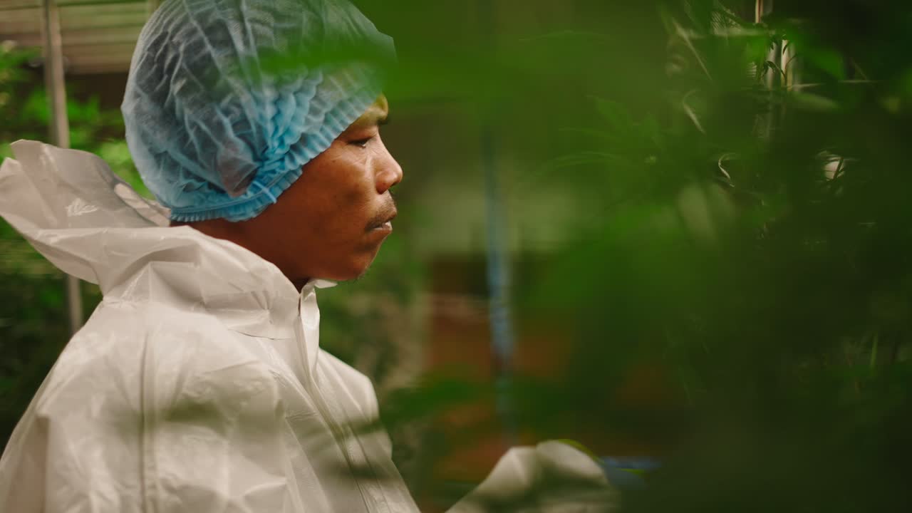 Cannabis Grower in Protective Gear