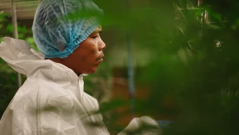 cannabis grower in protective gear